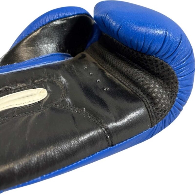 Rękawice bokserskie do Kickboxingu RBT-301W niebieskie 3