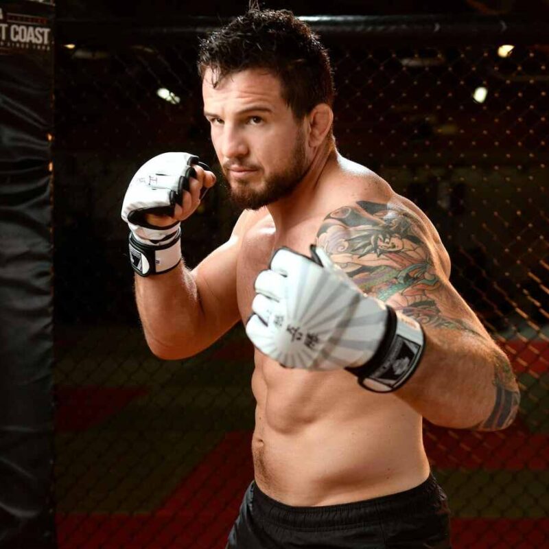 Rękawice MMA treningowe Japan E1v7 - Borys Mańkowski